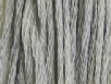 Barrel Cactus by Classic Colorworks 