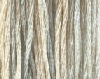 Frosty by Classic Colorworks 
