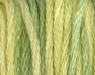 Lemon Lime by Classic Colorworks