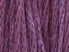 Mulled Berries by Classic Colorworks  
