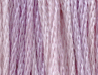 Miss Madalynn by Classic Colorworks
