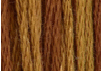 Old Oak Tree by Classic Colorworks 