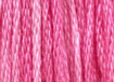 Pink Champagne by Classic Colorworks     