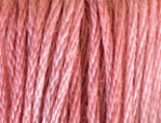 Sea Shelly  by Classic Colorworks  
