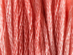 Shrimp Cocktail by Classic Colorworks