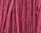Strawberry Parfait by Classic Colorworks  