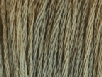  Joshua Tree by Classic Colorworks 