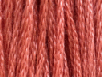 Persimmon by Classic Colorworks   