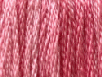 Ripe Melon by Classic Colorworks  