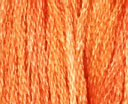 Tangerine by Classic Colorworks 