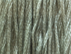 Tiny Vine by Classic Colorworks  
