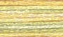 4080 Daffodil Fileds DMC Variations 