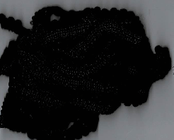 Mini Pom Pom - Licorice - 2 yards by Lady Dot Creates 