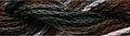 WL261 Karakum by Caron Threads  