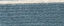 365 Stranded Cotton by ISPE