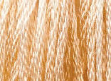 Tahiti Orange by Classic Colorworks 