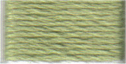 3348 DMC #5 Perle Skein  