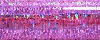 012L : Purple  : #4 Very Fine Braid  : Kreinik Metallic Threads  