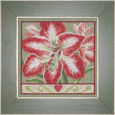 MH14-2335 Amaryllis by Mill Hill 