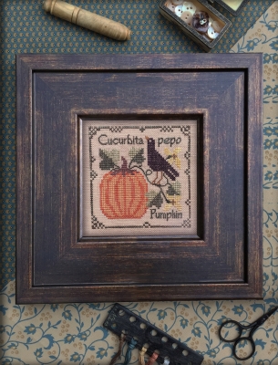 DR278 - Pumpkin - Botanical Stitches by The Drawn Thread 