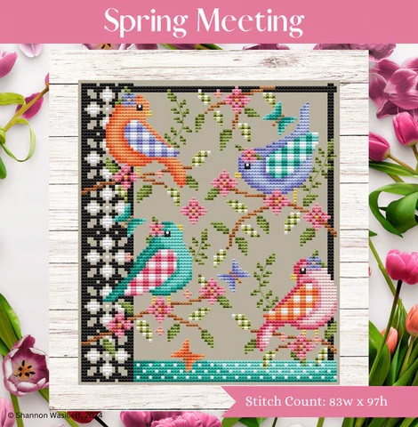 Shannon Christine - Spring Meeting