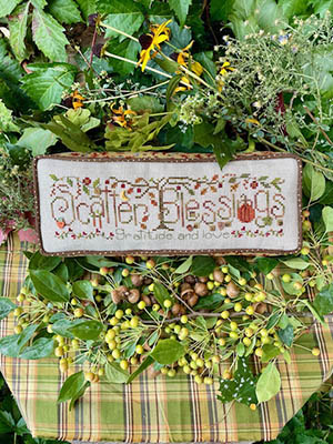 Shepherd's Bush -  Scatter Blessings