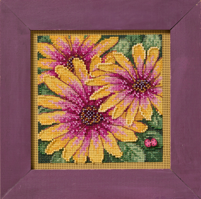 MH14-2521  African Daisies by Mill Hill   